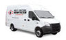Fleet Lettering Pest Control Van