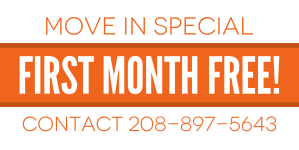 Move-In Special Real Estate